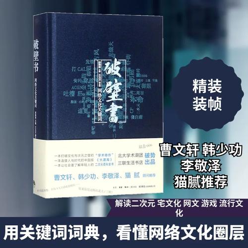 破壁书:网络文化关键词 邵燕君 主编 著 中外文化 经管、励志 生活书店出版 正版畅销图书籍